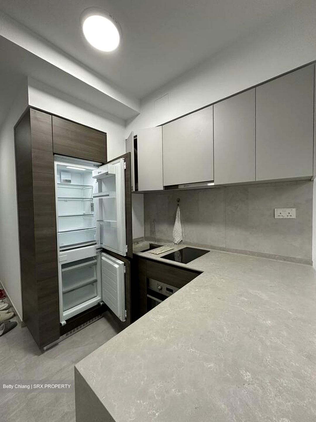 The Florence Residences (D19), Apartment #579790811